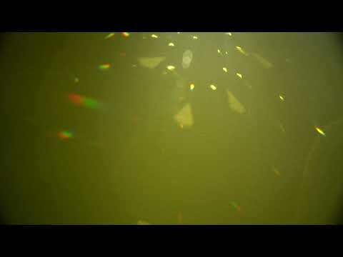 Four Tet - Into Dust (Still Falling) Mp3 Free Download