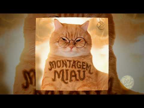 MONTAGEM MIAU - Lenar Mp3 Download