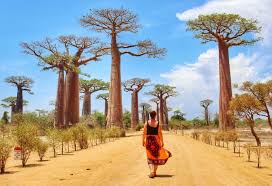 Good African Countries To Visit